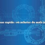 Réponse rapide : où acheter du maïs à balai